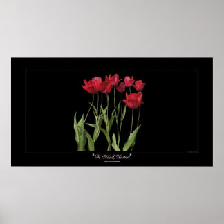 POSTER de arte Inspirador de RED TULIPS