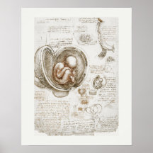 POSTER DE ARTE : LEONARDO DA VINCI : ESTUDIO 1510