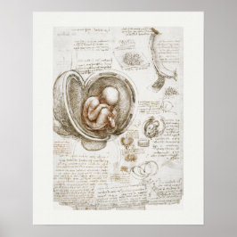 POSTER DE ARTE : LEONARDO DA VINCI : ESTUDIO 1510 