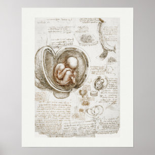 POSTER DE ARTE : LEONARDO DA VINCI : ESTUDIO 1510 