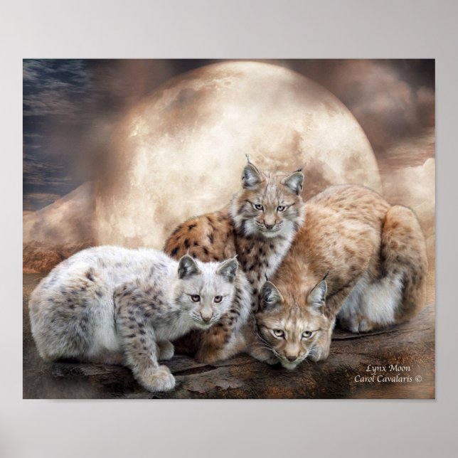 Poster de arte Lynx Moon/Print (Frente)