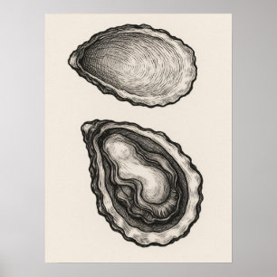 Póster de arte minimalista de concha de ostra cost
