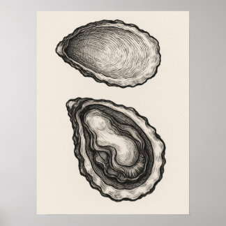 Póster de arte minimalista de concha de ostra cost