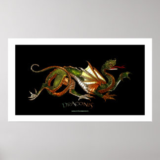 Poster de arte místico de dragones asiáticos