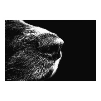 Poster de arte moderno con foto de nariz de perro