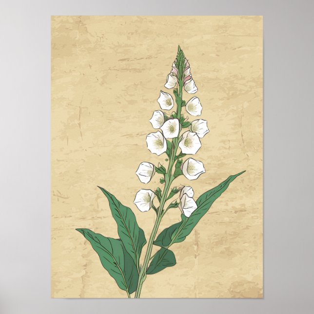 Poster de arte mural de líneas botánicas vintage (Frente)