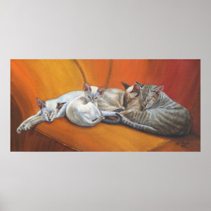 Poster de arte "Nap familiar" de gatos siameses