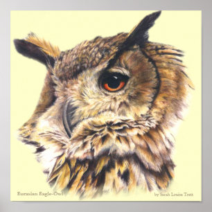 Póster de arte ornithológico del búho real eurasiá
