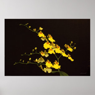 Poster de Arte Orquídea Amarillo Onc -60x40 -o men