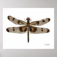 Poster de arte Pennant Dragonfly con bandas