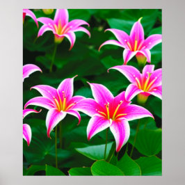 Poster de arte Pink Stargazer Lilies AI