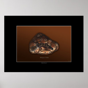 POSTER de arte PLATYPUS PATHS