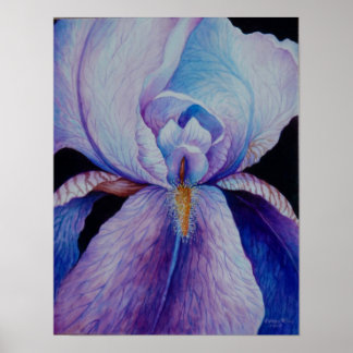 Poster de arte Purple Iris Watercolor
