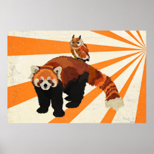 Poster de arte Red Panda & Owl