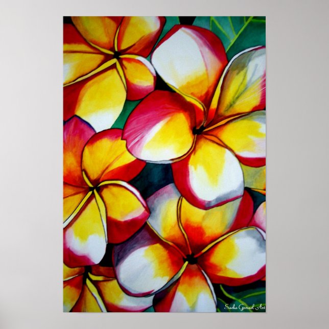 Poster de arte rosado frangipani por Sacha Grossel (Frente)