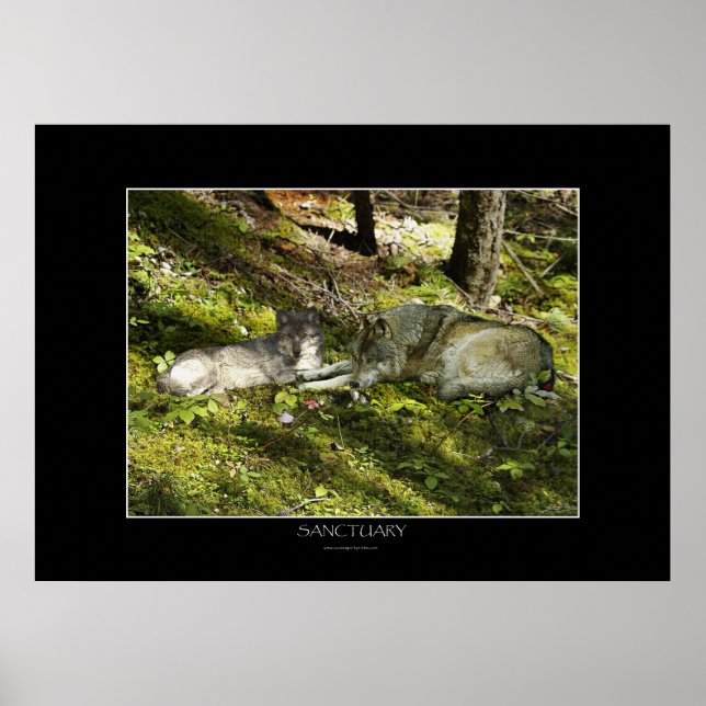 POSTER de Arte SANCTUARIO (Frente)