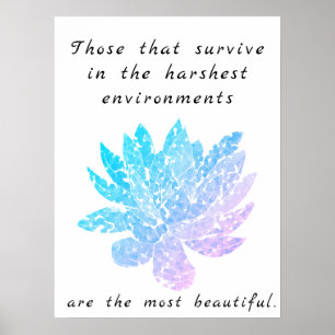 poster de arte suculento motivacional azul y rosa
