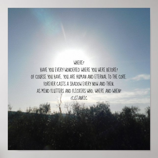 POSTER DE ARTE Y DISEÑO DE PARED (Frente)