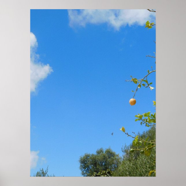 POSTER DE ARTE Y DISEÑO DE PARED (Frente)