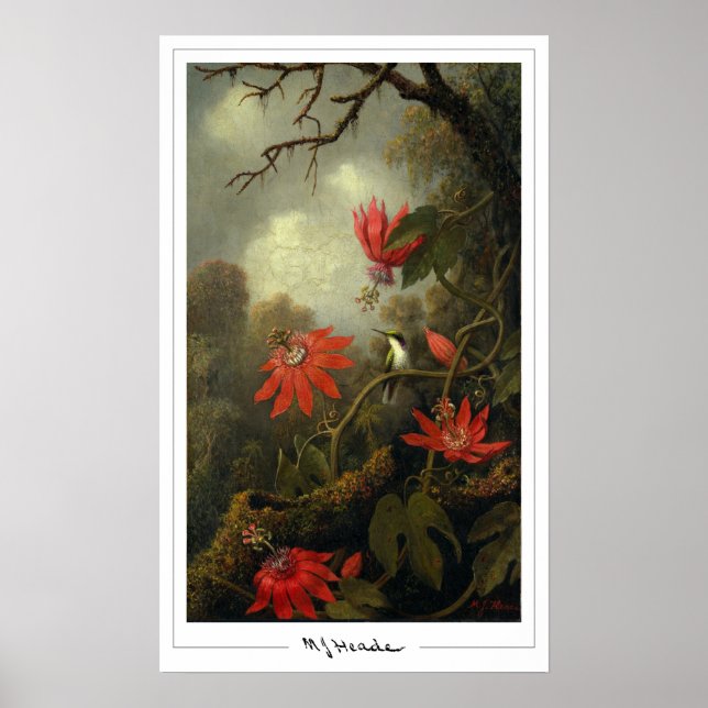Póster de arte Zedign de Martin Johnson Heade #36 (Frente)