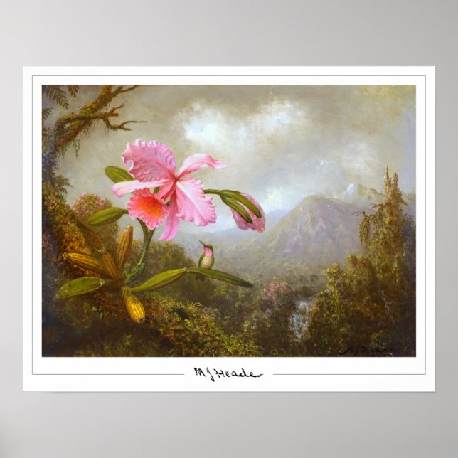 Póster de arte Zedign de Martin Johnson Heade #8 (Frente)