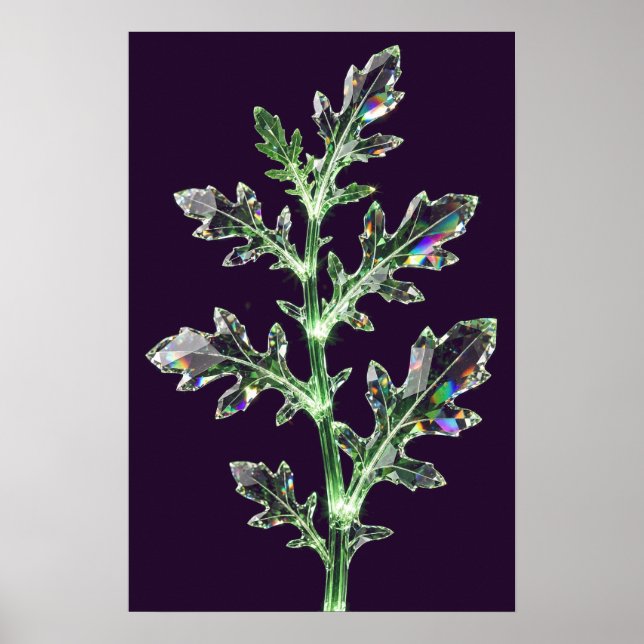 Póster de Arúgula de Cristal — Cosecha de Cristal (Frente)