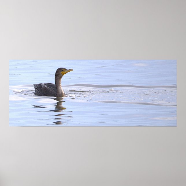 Póster de ave cormorán de doble cresta (Frente)