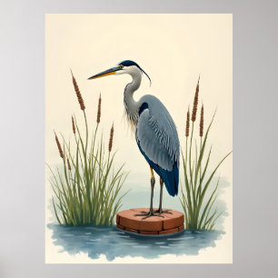 Póster de ave de humedal Garza Gris acuarela