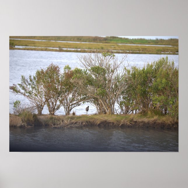 Póster de ave en el refugio (Frente)