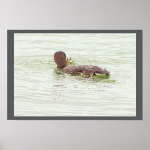 Póster de ave pescando en el océano