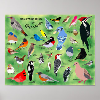 Póster de Aves de Patios de Minnesota