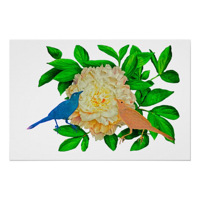 Poster de Aves y Flores (Anverso)