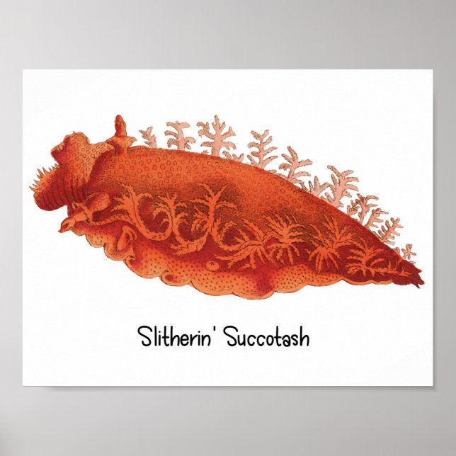 Póster de babosa marina Slitherin' Succotash (Frente)