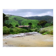 Póster de Bahía Cannibal : Caitlins : Nueva Zeland