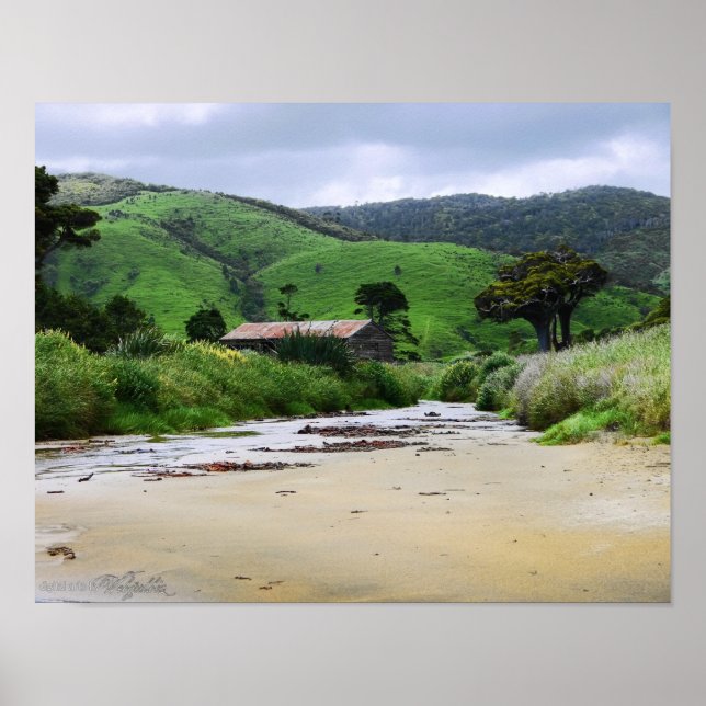 Póster de Bahía Cannibal : Caitlins : Nueva Zeland (Frente)