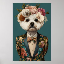 Póster de Bichon Frise con traje, Bichon Frise