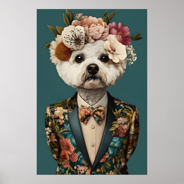 Póster de Bichon Frise con traje, Bichon Frise (Frente)