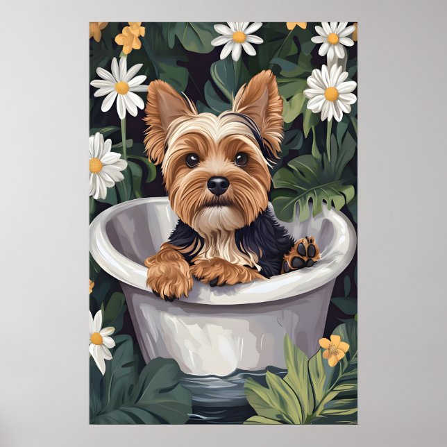Póster de Biewer Terrier en bañera, Perro divertid (Frente)