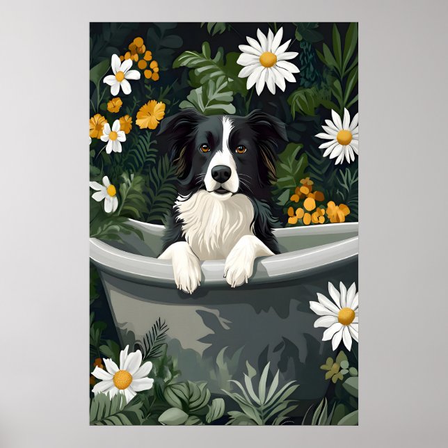 Póster de Border Collie en bañera, Póster divertid (Frente)