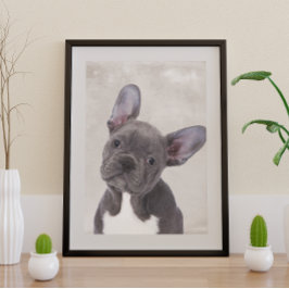 Poster de Boston Terrier