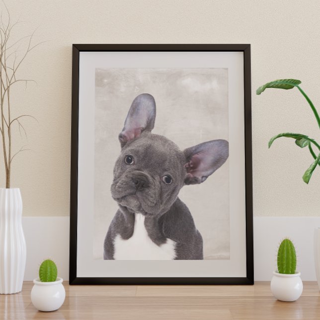 Poster de Boston Terrier (Subido por el creador)