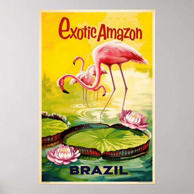 Póster de Brasil (Frente)
