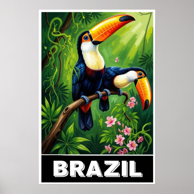 Póster de Brasil (Frente)