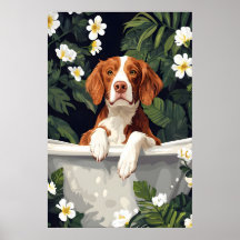 Póster de Brittany Spaniel en bañera, Perro divert