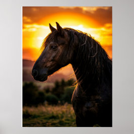 Póster de Caballo Arte Ecuestre