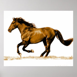Póster de Caballo Corriendo