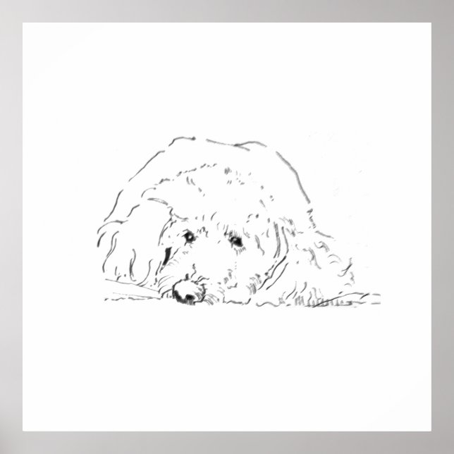 Póster de cachorro Cockapoo, ideas de regalos para (Frente)