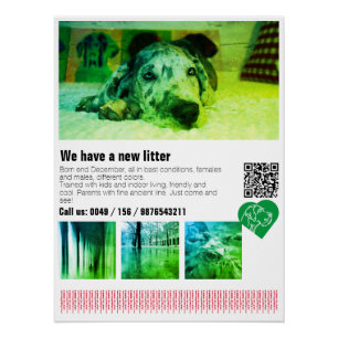 Póster de cachorro de Gran Danés diseñado