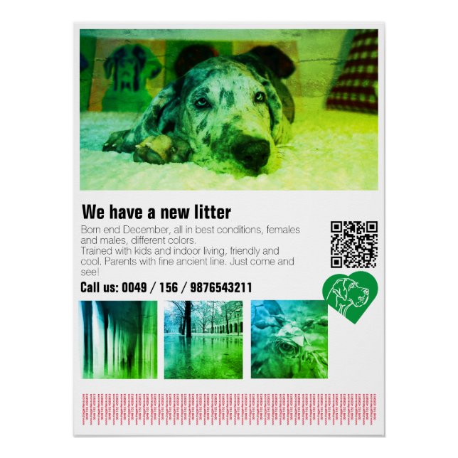 Póster de cachorro de Gran Danés diseñado (Anverso)