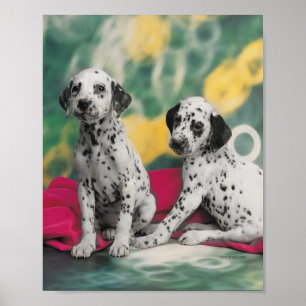 Póster de cachorros dálmatas